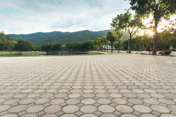 Best Permeable Paver Driveway  in Midlothian, VA